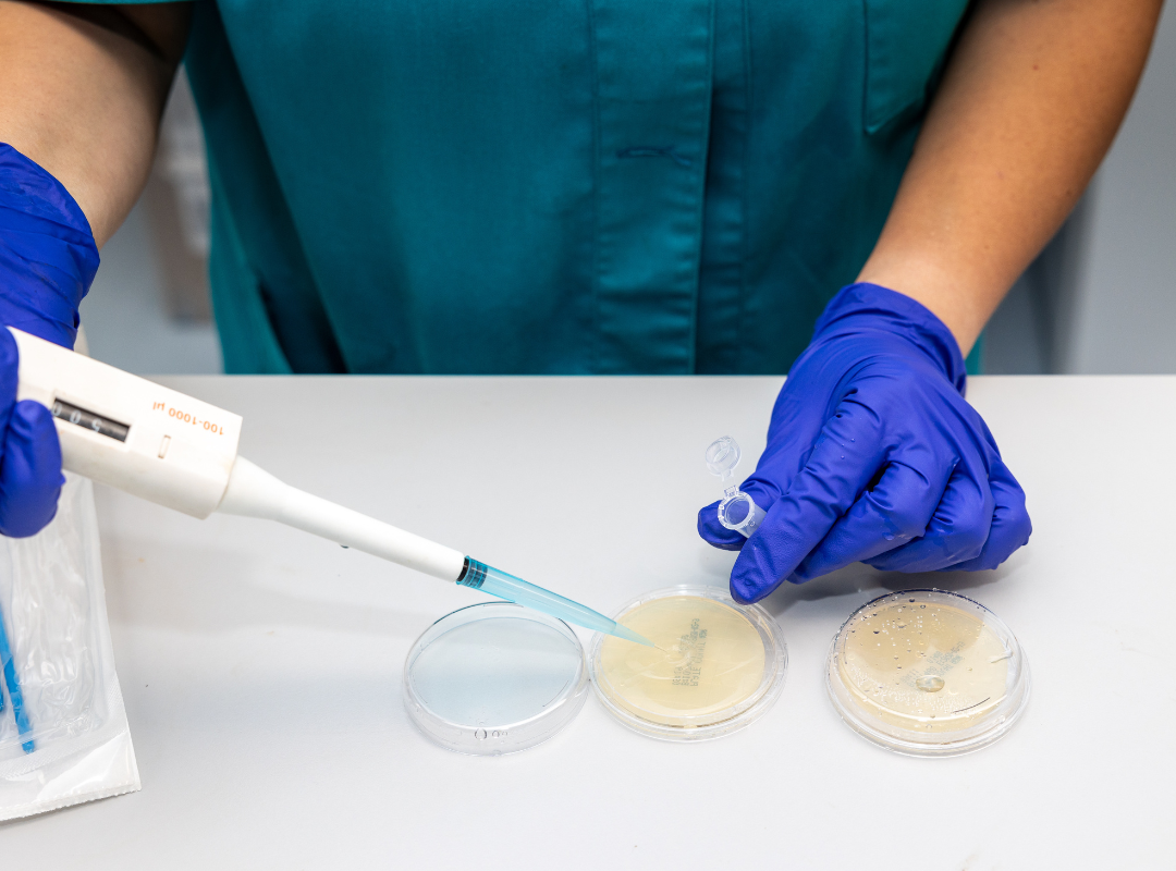 Sotya laboratory processes